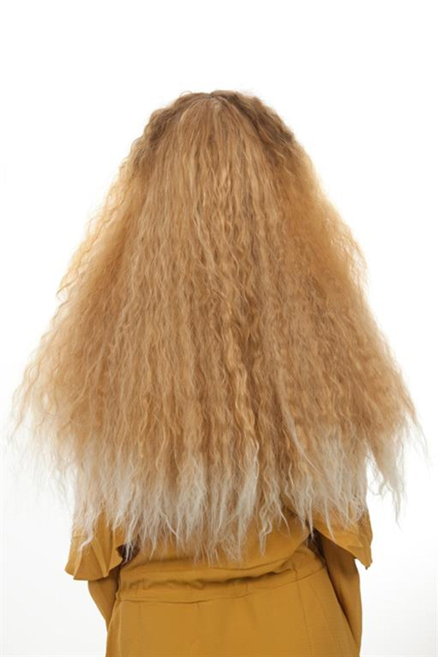 RnB Beauty (Beyonce Lemonade) Long Blonde Brown 80s Perm Womens Costume Wig